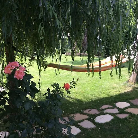 Les D'oriane Chessy (Seine-et-Marne)