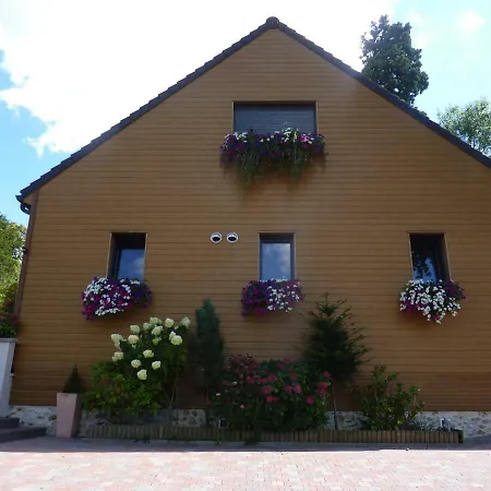 Les D'oriane Chessy (Seine-et-Marne)